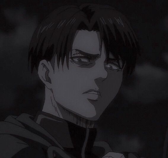 Levi Ackerman | ChatFAI